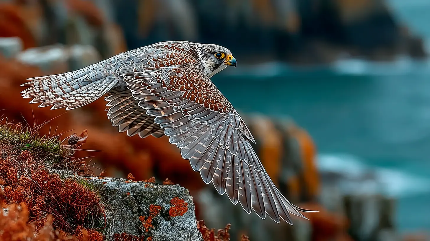 Peregrine Falcon